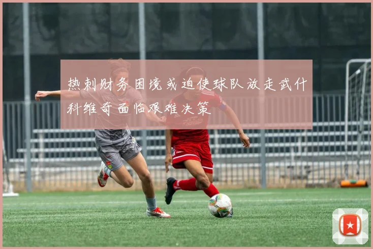 热刺财务困境或迫使球队放走武什科维奇面临艰难决策